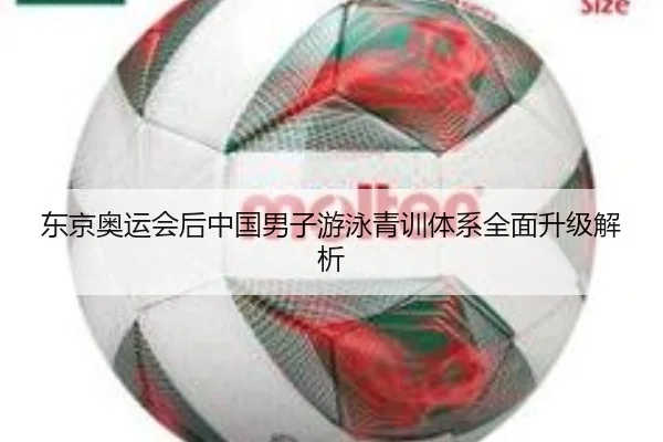dong-jing-ao-yun-hui-hou-zhong-guo-nan-zi-you-yong-qing-xun-ti-xi-quan-mian-sheng-ji-jie-xi-2-647.jpg